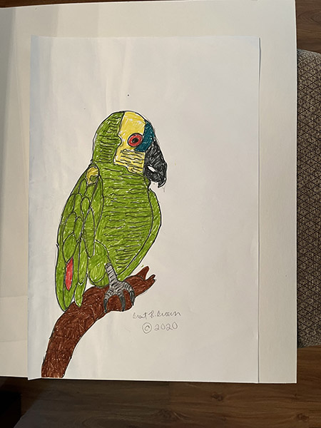 Brent Brown | BRB1069 | Polly Parrot | 12 x 18 in. at the Outsider Folk Art Gallery