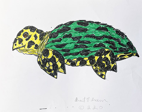 Brent Brown | BRB1115 | Turtle | 11 x 8 1/2 in. at the Outsider Folk Art Gallery