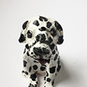 Brent Brown BRB296 | Dalmation, at the Outsider Folk Art Gallery