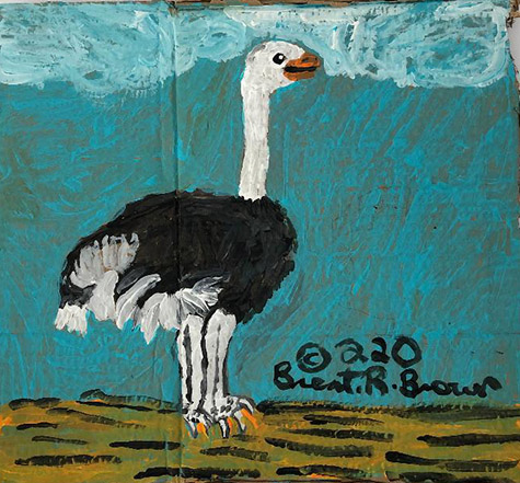 Brent Brown | BRB767 | Ozzie Ostrich, 2020 | Paint on canvas | 17 x 15 in. at the Outsider Folk Art Gallery
