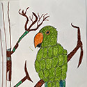 Brent Brown BRB1070 | Pear the Parrot with orange beak at the Outsider Folk Art Gallery