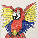 Brent Brown BRB1073 | Parrot, yellow. red, blue wings at the Outsider Folk Art Gallery
